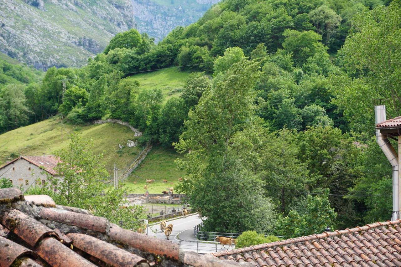 Apartahotel Montecaoru Arenas De Cabrales Esterno foto